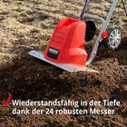 Bild 4 von 12
