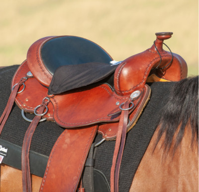 Coussin De Selle Western Cashel Crusader Long Horse - Confort Et Protection