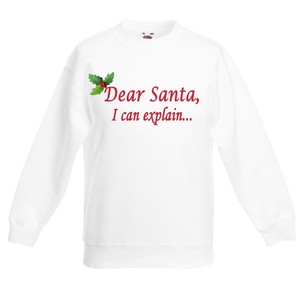 santa i can explain jumper