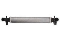 Thermotec DAA006TT LadeluftküHler FüR Audi Seat Skoda VW