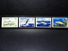 BERMUDA Scott #292-95, Complete set of 4 MNH Fish of the Atlantic (1972)