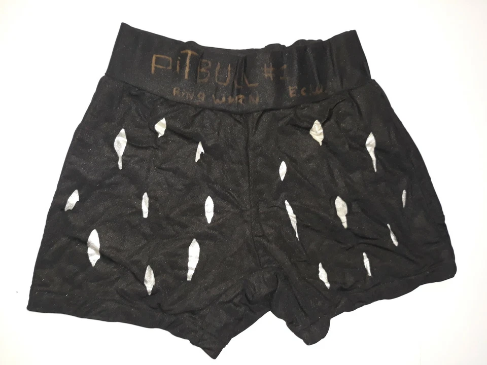 Pitbull #1 Gary Wolf ECW Anillo Usado Lucha Pantalones Cortos Medias The Pitbulls Firmado Foto 3 de 4