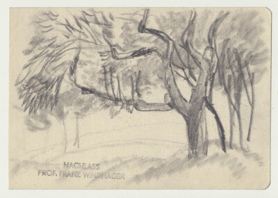Tree study  c.1910, Austrian artist Franz Windhager (1879 1959), estate stamp