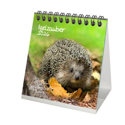 SEELENZAUBER GMBH Igelzauber Tischkalender 10cm x 10cm für 2026 Igel - Seelenzauber