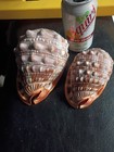 RED CAMEO HELMET BULLMOUTH SEASHELL SHELL NAUTICAL BEACH DECOR X2 One Big Small — photo 3