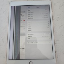 ipad 8th generation 32gb wifi only Lcd Issue 