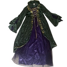 Disney Hocus Pocus Winifred Sanderson Costume Dress Woman  s 1X Green Halloween