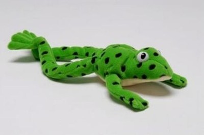 OUP Oxford Read Write Inc. Phonics: Fred Frog Beanie