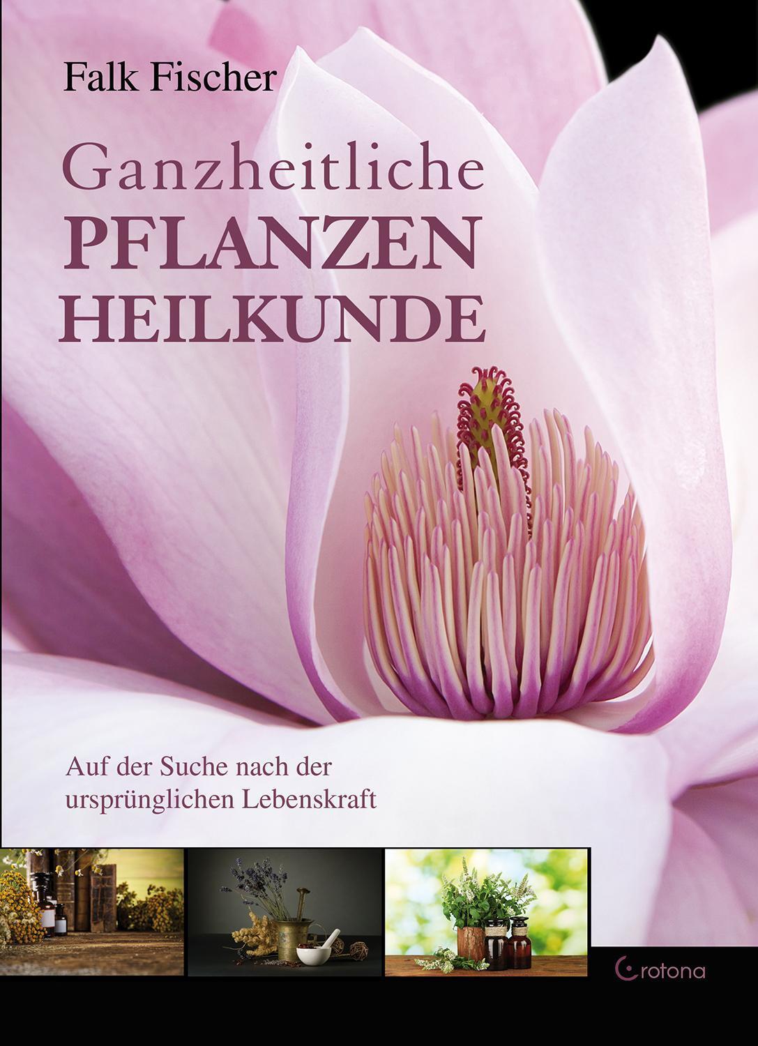 Ganzheitliche Pflanzenheilkunde | Falk Fischer | Deutsch | Buch | 224