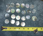 23 Abalone Shell Buttons — photo 6