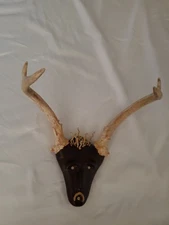 Resin animal face with antlers attached