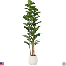 6ft Artificial Fiddle Leaf Fig Tree in White Planter for Home Decor, Faux Ficus