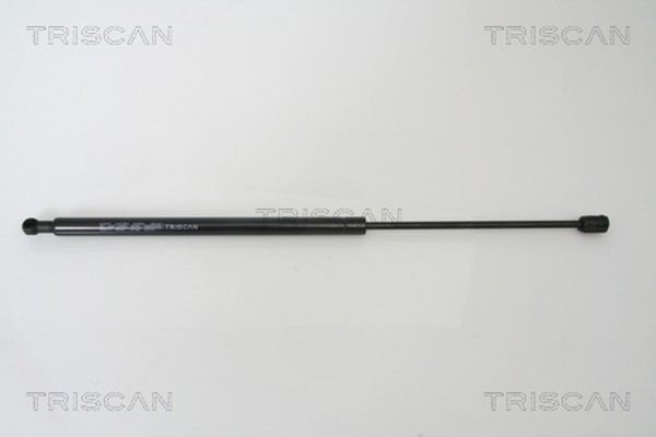 Heckklappen DäMpfer Gasfeder Kofferraum Triscan 8710 43217 FüR Hyundai Santa FÉ-image