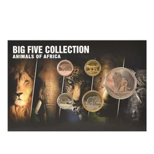 5 Coin Set Somalia | The Big Five Animals | 5 10 20 50 100 Shillings |  2013