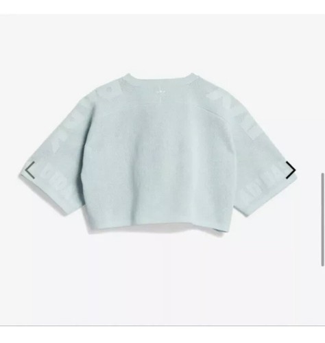 Ivy Park Adidas Drip 2 Knit Mint Crop 