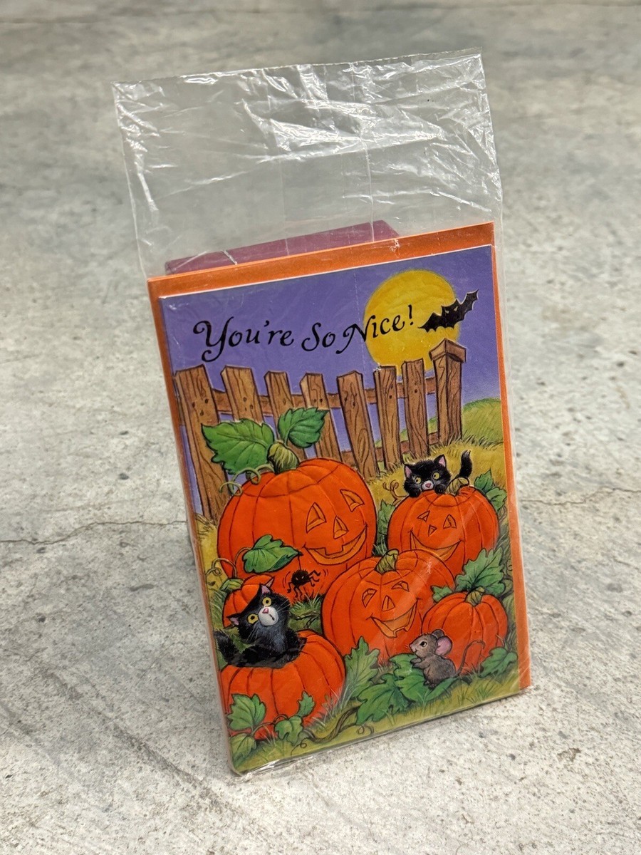 American Greetings Grußkarten-Set – 30 Karten Für Alle Anlässe, Mit Umschlägen & Aufbewahrungsbox