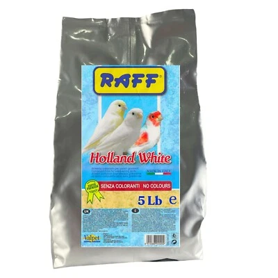 Holland White by Raff(5Lb) Bird egg Food, Formula high in Protein & Fat, NO Dyes