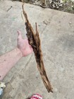  Lightning Struck Tree Bark  — photo 3