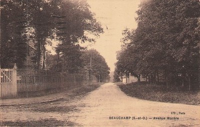 - CPA BEAUCHAMPS (95) - Avenue Morère - 114878