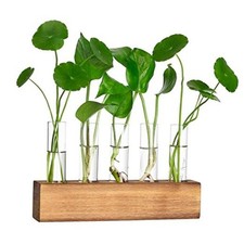 Plant Propagation Station, Plant Terrarium with Wooden 8.7"L x1.6"W x2"H Brown