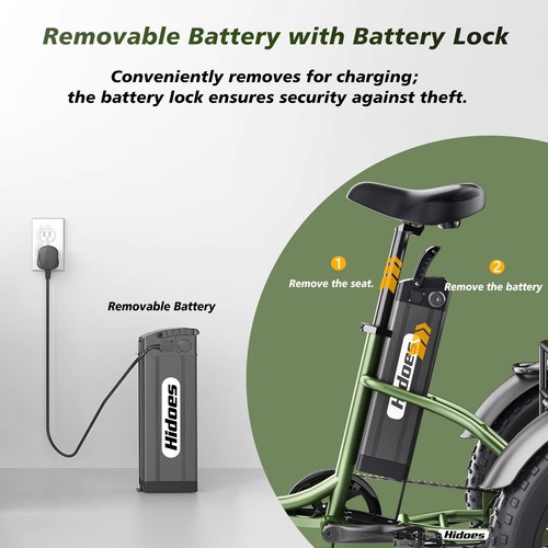 750W 20Zoll 25km/h Electric Tricycle E-Bike 3Wheels Bicycle Fat tire Cargo Trike - Bild 18 von 24