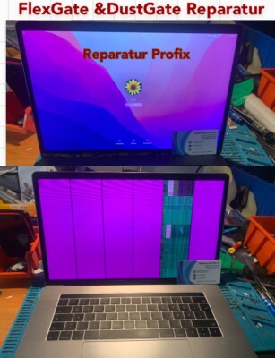 macbook  FlexGate & Dustgate pro reparatur