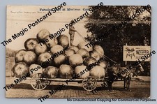 Potato Exaggeration & Wonder Clothes Washer Advertising RPPC Montrose Colorado