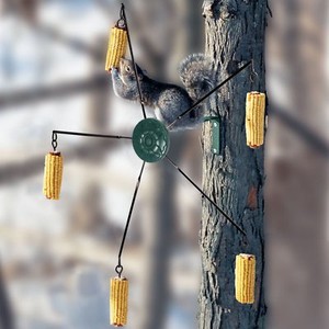 Squirrel Feeder Corn Spinning Wheel Go Round Cobs Motion Divert