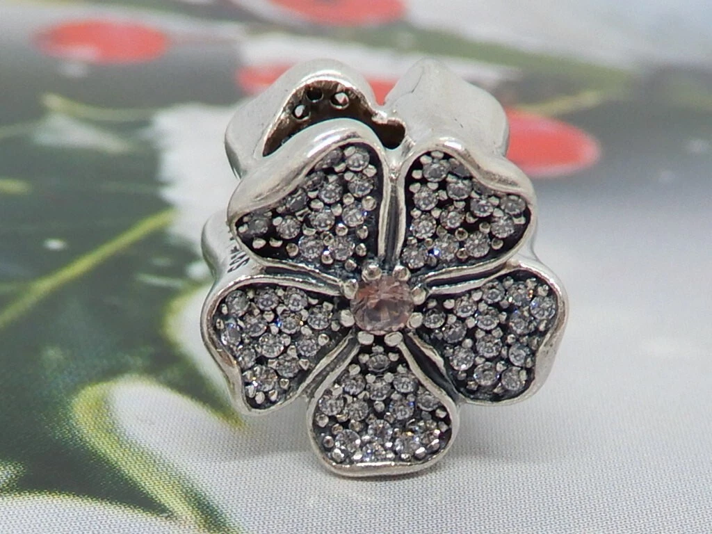 Retired pandora charms ebay sale