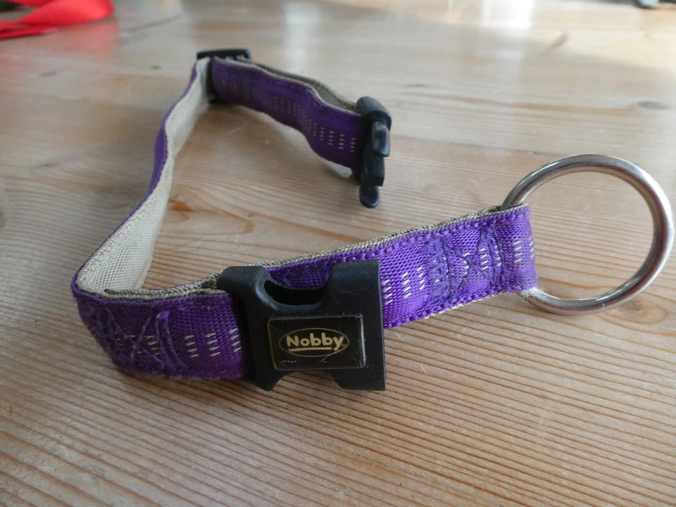COLLAR PERRO NOBBY PÚRPURA AJUSTABLE COLLAR PERRO 30 cm LARGO #1615 Foto 2 de 2