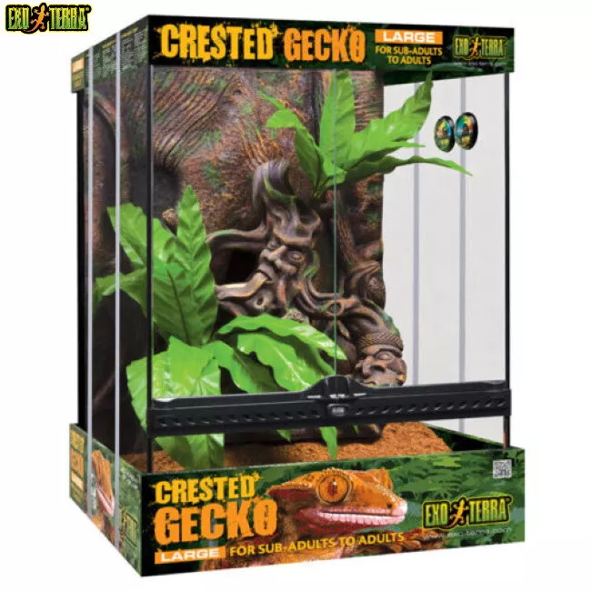 Exo terra crested gecko clearance kit