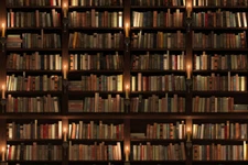 Old Books Two Storied Bookshelf Library Cool Wall Decor Art Print Poster 18x12