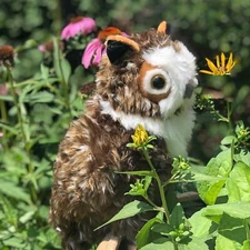 Barnstable Owl Plush Stuffed Animal