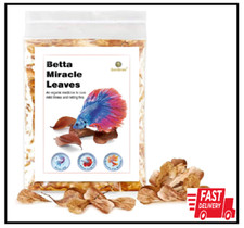 Sungrow 50 Pcs Catappa Indian Almond Leaves for Betta Fish Tank Aquarium, 2  Wat