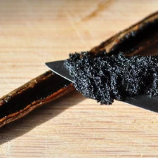 Tahiti Tahitian Vanilla Beans JUMBO SIZE FRESH 2026 HARVEST