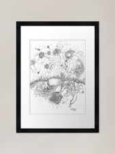 Bacteriophage ballet, ink drawing o Framed Wall Art Poster Canvas Print Picture