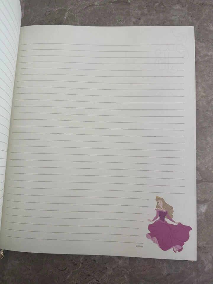 迪士尼乐园睡美人故事书大型日记未使用档案收藏 — 第 3/4 张图片