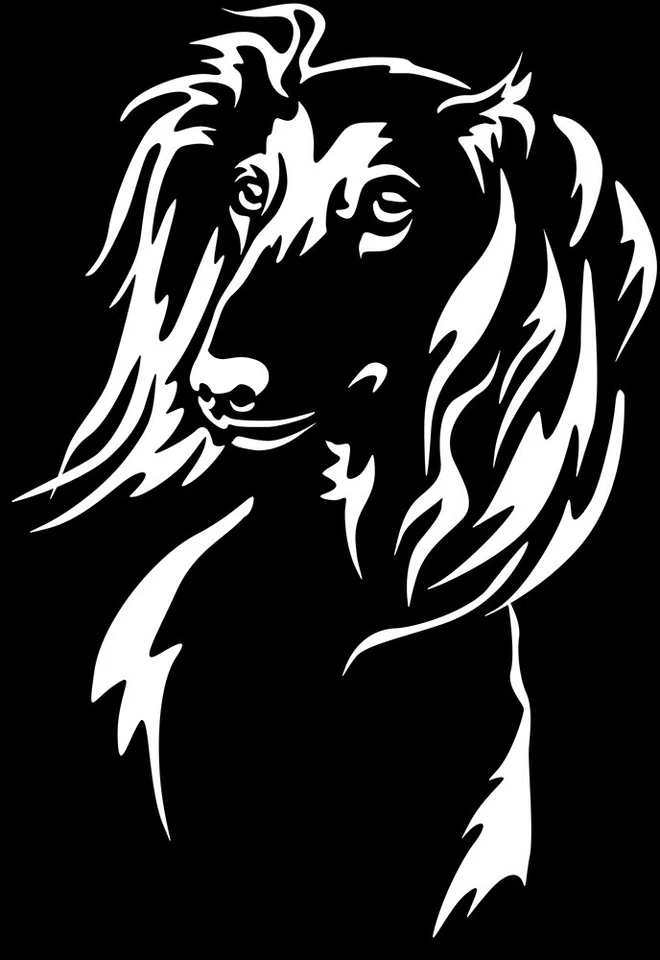SALUKI Aufkleber - Autoaufkleber - sticker - Saluki Windhund Kopf #98 - Bild 1 von 3