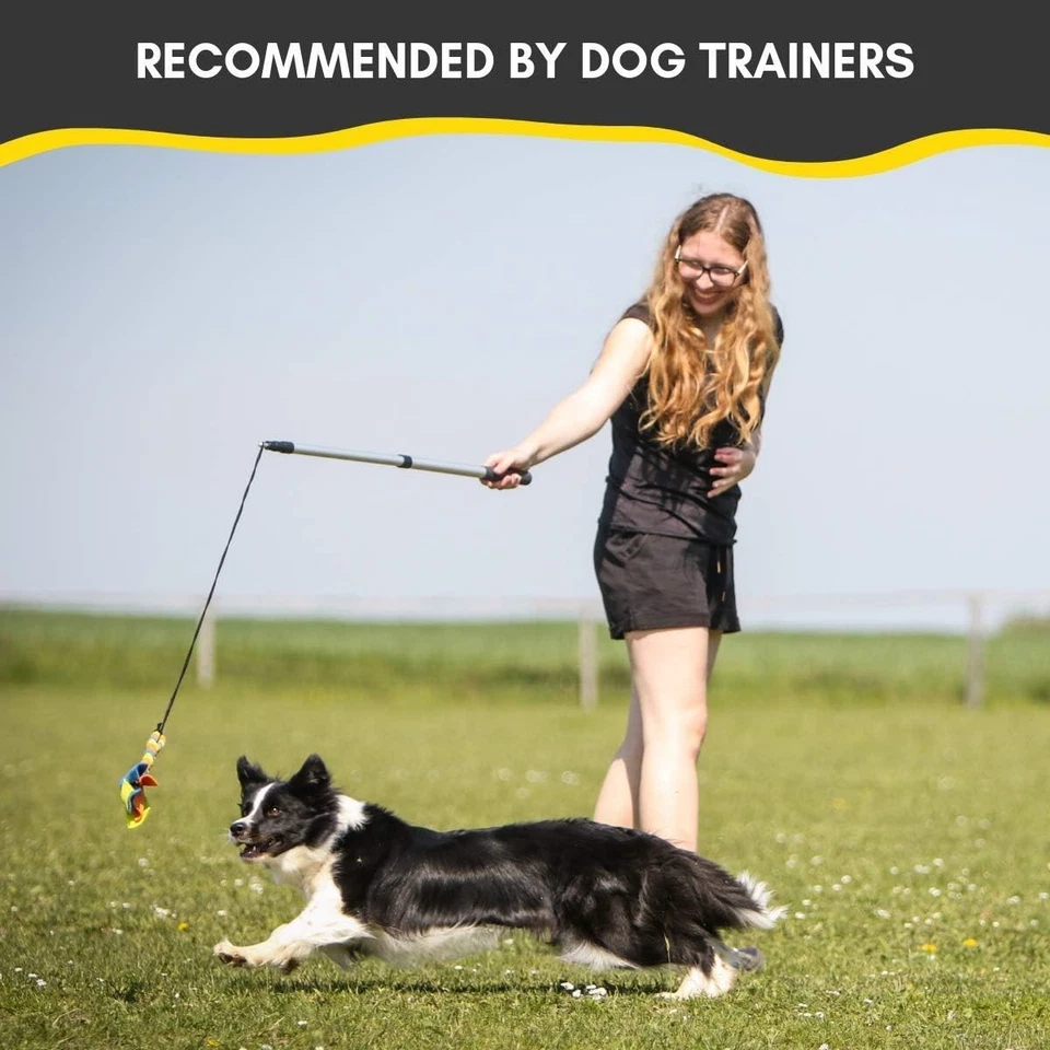 Poste de coqueteo para perros - seguro y fuerte para razas grandes con cordón no elástico - Spri... Foto 2 de 4