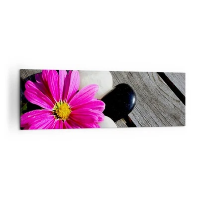 Cuadro Sobre Lienzo 160x50cm Cuadros Pared Piedra flor pétalos crisantemo Art - Imagen 1 de 4