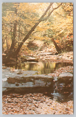 Postcard Crystal Brook in the Fall Crystal Brook House Round Top New York