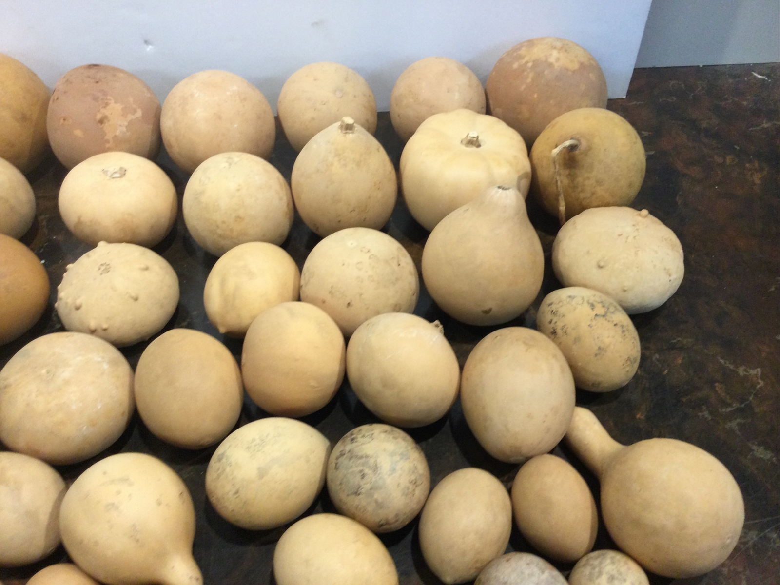 Lot Of Dried Gourds For Crafts Over 50 Gourds eBay