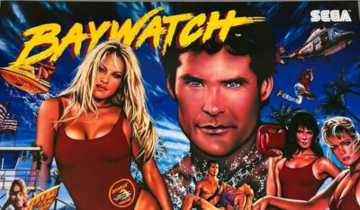 Sega Baywatch Pinball - V 4.01 GAME AND DISPLAY CODE UPDATES + 3 Chip Set!
