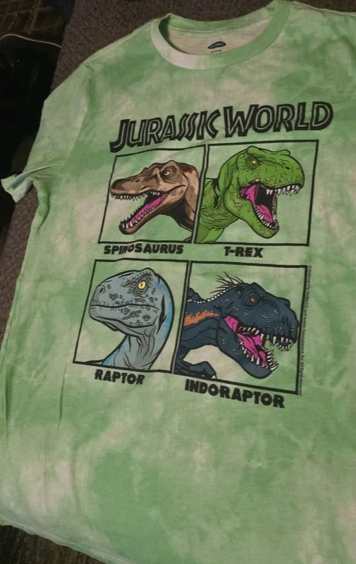 jurassic park shirt Boy Size 12-14 Green Tie-dye