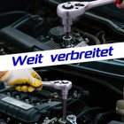 Bild 5 von 10