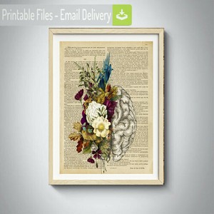 Updated Human Anatomy Posters Anatomy Posters And Anatomy