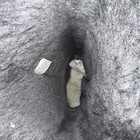 Bild 10 von 13