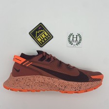 Nike Pegasus Trail 2 Canyon Rust 2021 