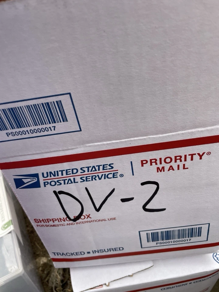 MADONNA - 'Justify My Love' Cassette Tape Single Cassingle 1990 Factory Sealed - Image 3 of 3