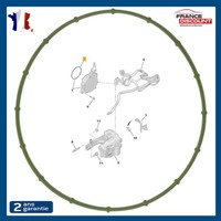DS3 DS4 DS5 1.6 THP Dichtung Ansaug Unterdruckpumpe Ring 455623 456583